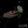 艾加