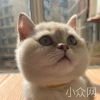 时光路人