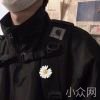 电子羊
