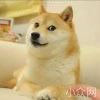 傻乎乎的一个人