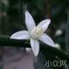 随性
