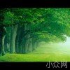 生命