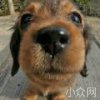 陈鹏