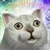 广东猎人DL