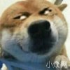 不了