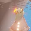 吴雨萱