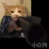 春存