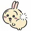 Usagi