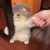 你也没人要吗