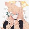 OrenjiNekodaze
