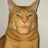 用户
