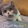 筱