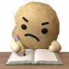 Potato