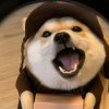 周sir