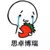 思卓博瑞