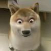 陈天胜