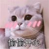 一剑霜、寒