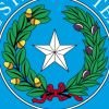 太空军特级上将