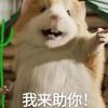 斯人若虹