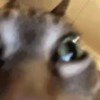 ㅤ