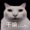 神秘店长A