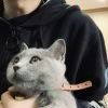 天才小透明