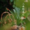 达芬奇