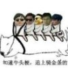 刘***龙