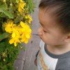 小黄瓜