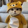 冷水香水