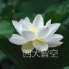 王某人