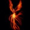 ༺Phoenix༻