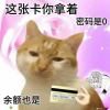 沉默的时光