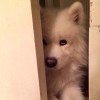 我本善良