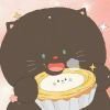 来自远方的猫