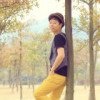 藤井树