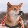 落霞 孤鹜 秋水 长天