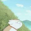 新世纪膨胀