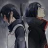 随风、随缘