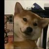 痞
