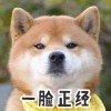 寻无所踪