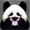 唏嘘、过往