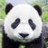 仅好友可见