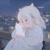 枫