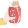 野蛮生长(๑˙ー˙๑)