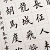 鱼在我这里