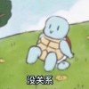 杰尼龟