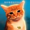 小金豆