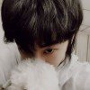 敲敲乃木鱼