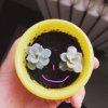 格鲁希德